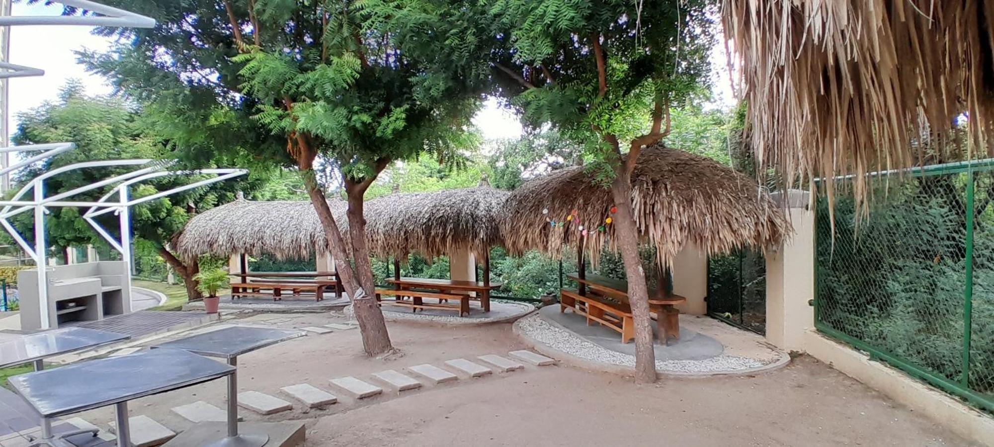 En Zazue * Santa Marta (Magdalena)